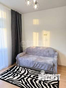 Студия квартира, на длительный срок, 20м2, 11/17 этаж