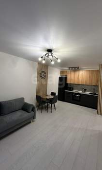 1-к квартира, на длительный срок, 41м2, 8/25 этаж