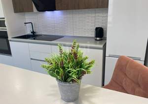 1-к квартира, на длительный срок, 45м2, 10/12 этаж