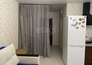 Студия квартира, на длительный срок, 24м2, 10/12 этаж