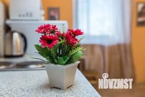 Студия квартира, посуточно, 29м2, 7/20 этаж