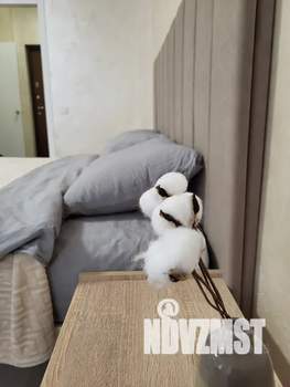 Студия квартира, посуточно, 32м2, 2/15 этаж