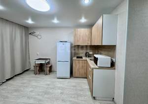 Студия квартира, на длительный срок, 24м2, 4/15 этаж