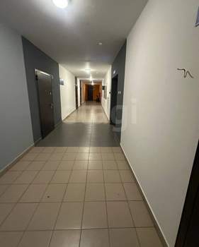 Студия квартира, на длительный срок, 25м2, 11/16 этаж