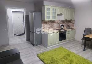 Студия квартира, на длительный срок, 28м2, 17/24 этаж