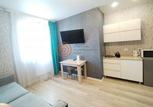 Студия квартира, на длительный срок, 27м2, 9/9 этаж