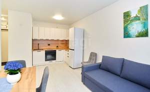 1-к квартира, на длительный срок, 40м2, 4/25 этаж