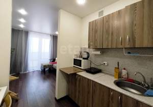 Студия квартира, на длительный срок, 24м2, 17/19 этаж