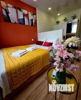 Студия квартира, на длительный срок, 24м2, 9/9 этаж