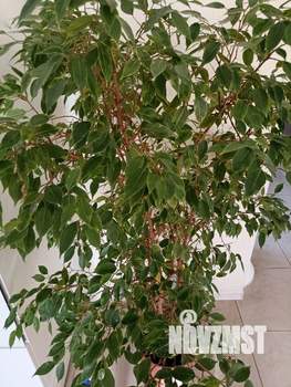 1-к квартира, посуточно, 36м2, 3/5 этаж