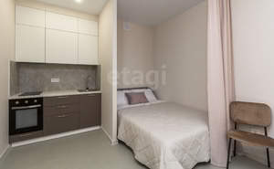 Студия квартира, на длительный срок, 26м2, 9/17 этаж