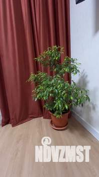 Студия квартира, посуточно, 32м2, 4/19 этаж