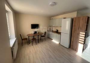 Студия квартира, на длительный срок, 28м2, 14/24 этаж