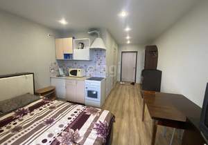 Студия квартира, на длительный срок, 21м2, 13/19 этаж