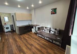 Студия квартира, на длительный срок, 24м2, 16/17 этаж