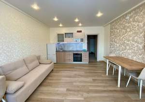 1-к квартира, на длительный срок, 46м2, 4/20 этаж