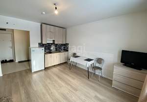 Студия квартира, на длительный срок, 25м2, 8/24 этаж