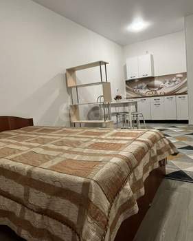 Студия квартира, на длительный срок, 26м2, 8/14 этаж