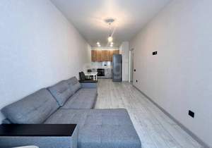 1-к квартира, на длительный срок, 40м2, 4/24 этаж