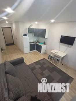 Студия квартира, посуточно, 24м2, 4/19 этаж