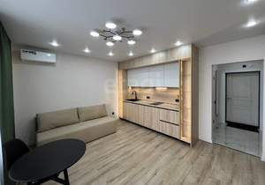 Студия квартира, на длительный срок, 27м2, 17/18 этаж