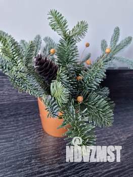 Студия квартира, посуточно, 20м2, 2/10 этаж