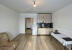 Студия квартира, на длительный срок, 25м2, 8/24 этаж