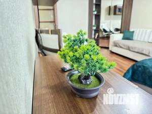 1-к квартира, посуточно, 50м2, 1/1 этаж