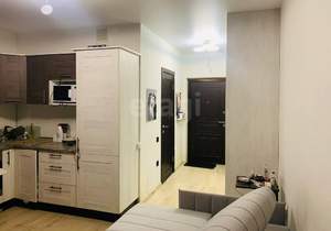 Студия квартира, на длительный срок, 23м2, 17/20 этаж