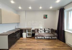 Студия квартира, на длительный срок, 24м2, 16/17 этаж