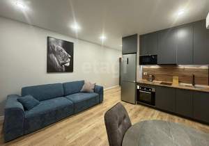 1-к квартира, на длительный срок, 42м2, 9/16 этаж