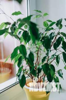 1-к квартира, посуточно, 42м2, 14/19 этаж