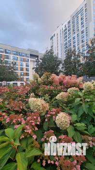 1-к квартира, на длительный срок, 36м2, 9/13 этаж