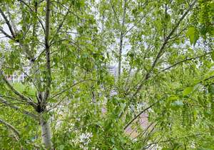 1-к квартира, на длительный срок, 39м2, 7/9 этаж