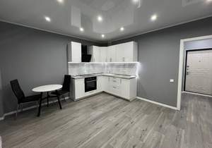 Студия квартира, на длительный срок, 27м2, 17/18 этаж