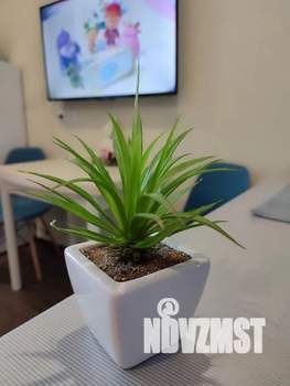 Студия квартира, посуточно, 20м2, 8/19 этаж