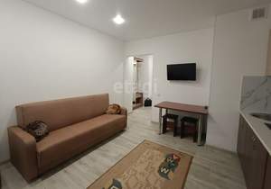 Студия квартира, на длительный срок, 24м2, 8/19 этаж