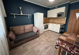 1-к квартира, на длительный срок, 41м2, 6/17 этаж