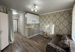 Студия квартира, на длительный срок, 25м2, 12/20 этаж