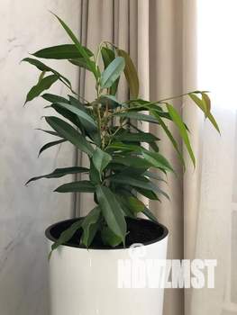 1-к квартира, посуточно, 40м2, 19/19 этаж