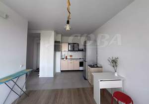 1-к квартира, на длительный срок, 33м2, 7/24 этаж