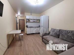 Студия квартира, на длительный срок, 25м2, 8/17 этаж