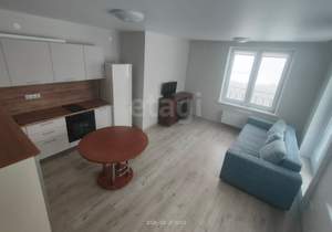 1-к квартира, на длительный срок, 47м2, 23/24 этаж