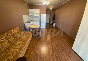 Студия квартира, на длительный срок, 26м2, 8/17 этаж