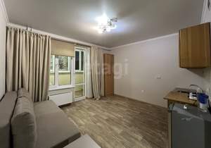 Студия квартира, на длительный срок, 25м2, 15/20 этаж