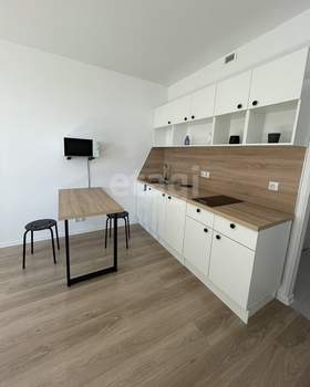 Студия квартира, на длительный срок, 25м2, 15/24 этаж