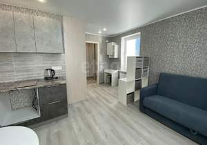 Студия квартира, на длительный срок, 28м2, 13/24 этаж