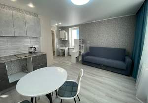 Студия квартира, на длительный срок, 28м2, 13/24 этаж