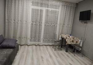 Студия квартира, на длительный срок, 24м2, 14/17 этаж