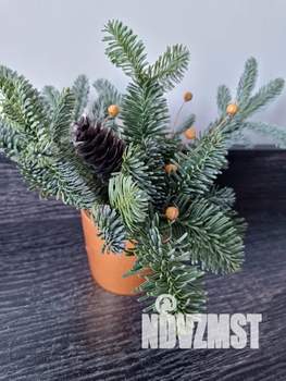 Студия квартира, посуточно, 20м2, 2/10 этаж